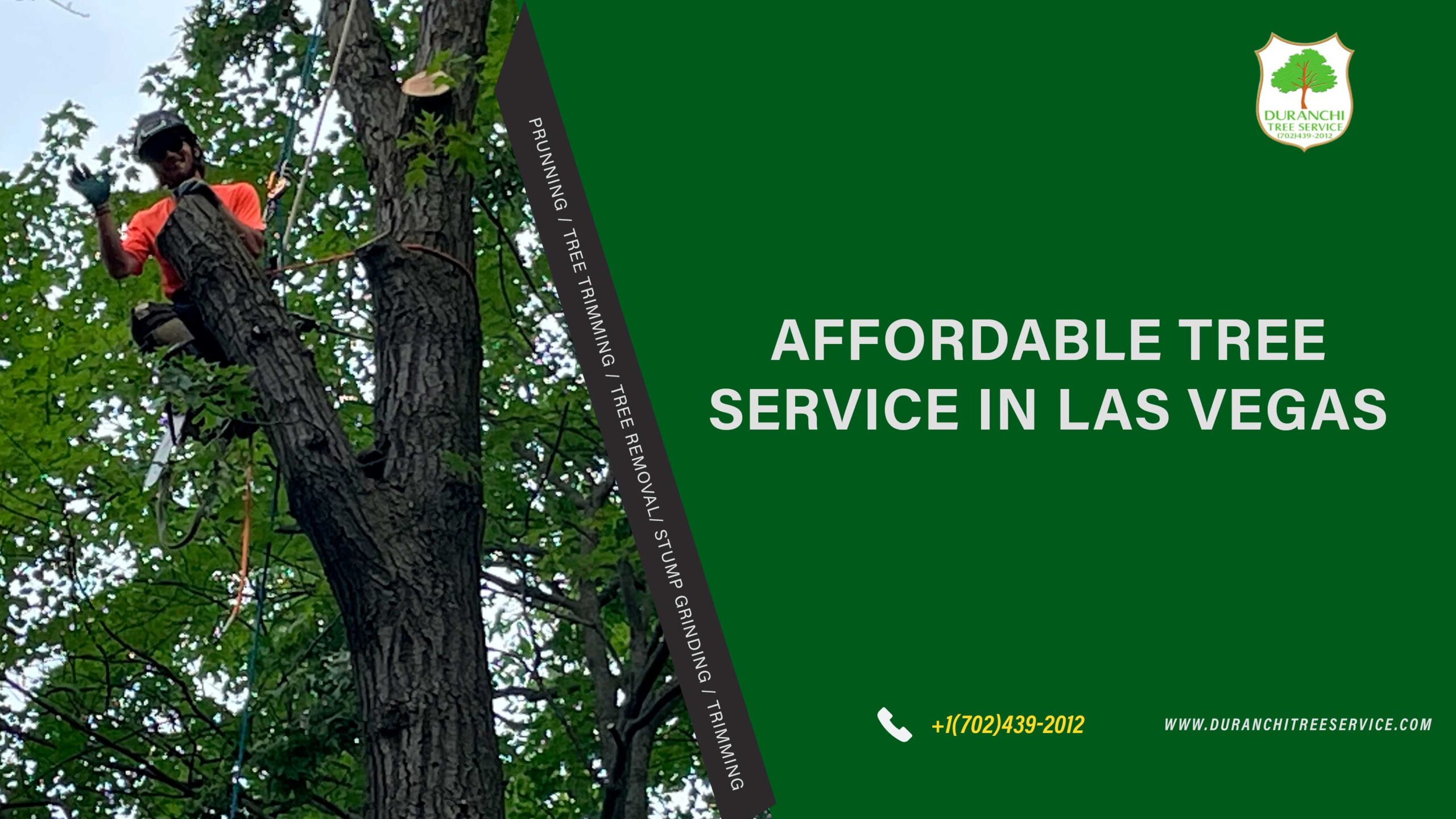 Affordable Tree Service in Las Vegas