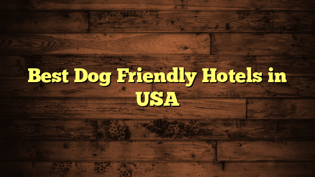 Best Dog Friendly Hotels in USA