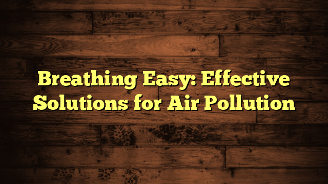 Breathing Easy: Effective Solutions for Air Pollution