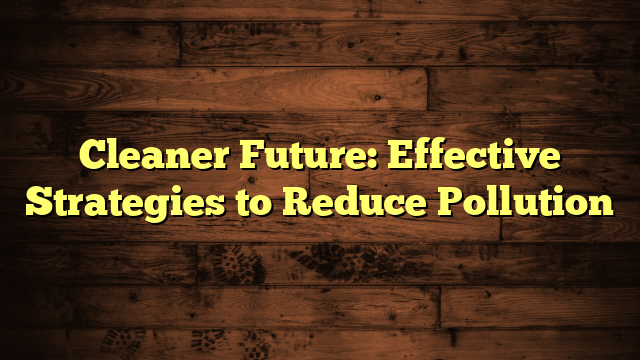 Cleaner Future: Effective Strategies to Reduce Pollution
