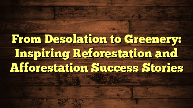 Desolation to Greenery: Reforestation and Afforestation Success Stories