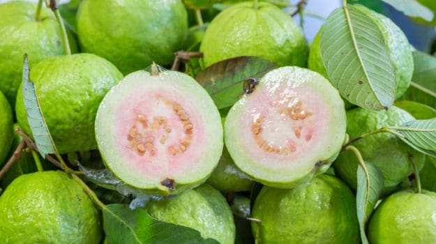 Guava Beneficial Effects on Human Health