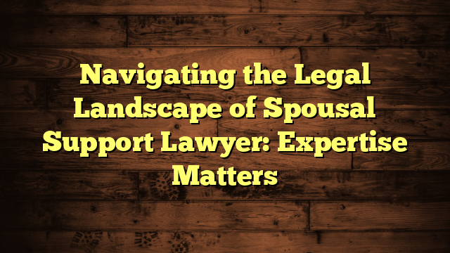 Navigating the Legal Landscape of Spousal Support Lawyer: Expertise Matters