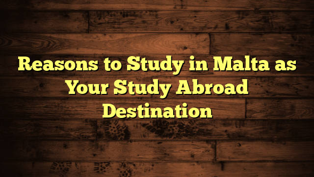 Reasons to Study in Malta as Your Study Abroad Destination