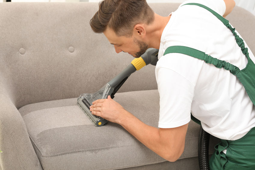 Restoring Elegance: Upholstery Cleaning Solutions in Balgowlah