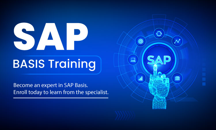 Must Have Skills For An SAP BASIS Professional