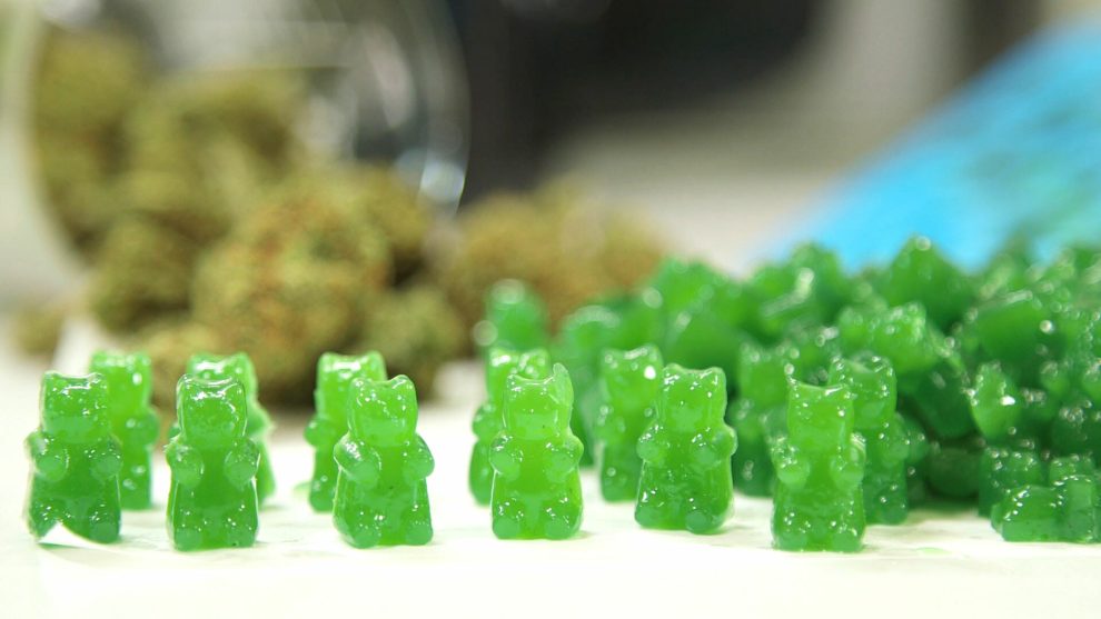 The Sweet Revolution Exploring the World of Green Gummies