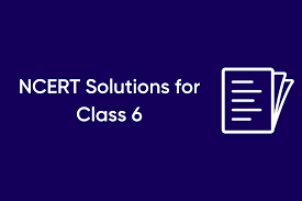 ncert solution for class 6