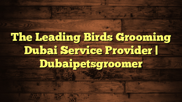 The Leading Birds Grooming Dubai Service Provider | Dubaipetsgroomer