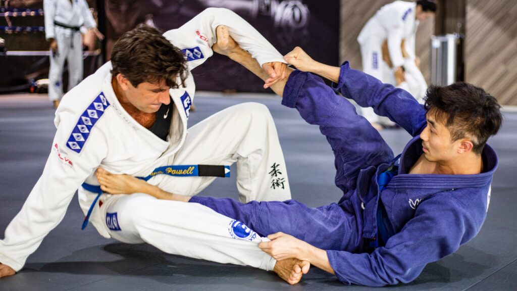 Mastering the Art of Jiu-Jitsu A Journey to Physical and Mental Excellence