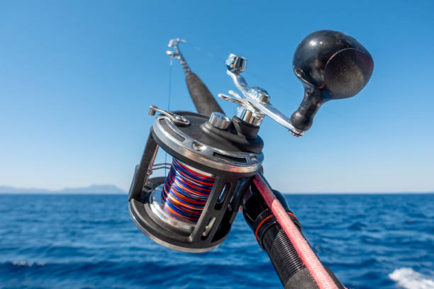 Saltwater Fishing Rod And Reel Combo