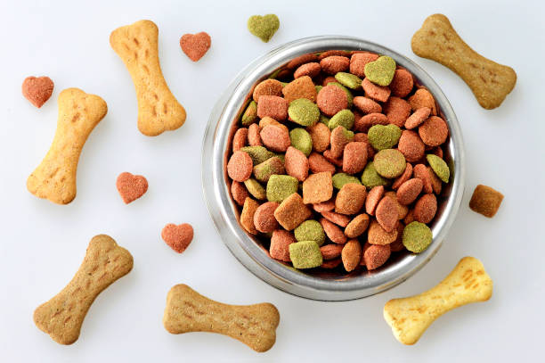 Picking the Best: How to Choose the Perfect Dog Food for Your Beloved Pet