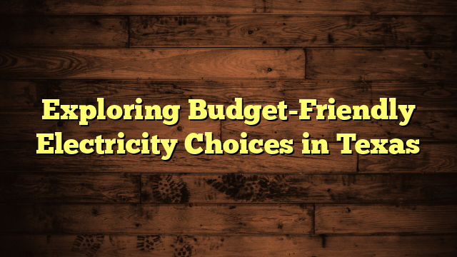 Exploring Budget-Friendly Electricity Choices in Texas