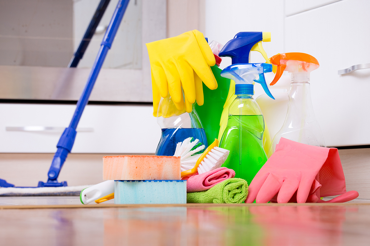 Professional House Cleaners
