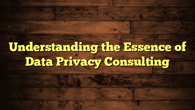Understanding the Essence of Data Privacy Consulting
