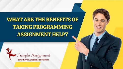 What Are The Benefits Of Taking Programming Assignment Help?