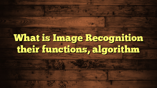 What is Image Recognition their functions, algorithm