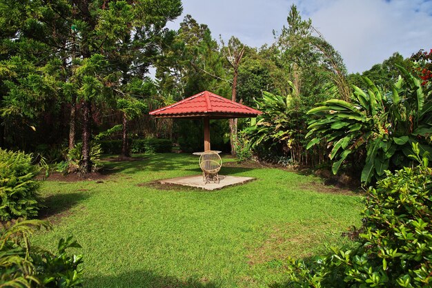 Sustainable Solutions: Landscaping in Kerala’s Tropical Climate