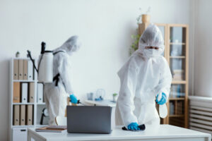bed bug removal Singapore