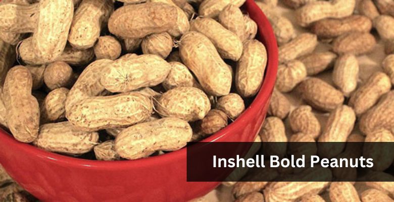 Inshell Bold Peanuts