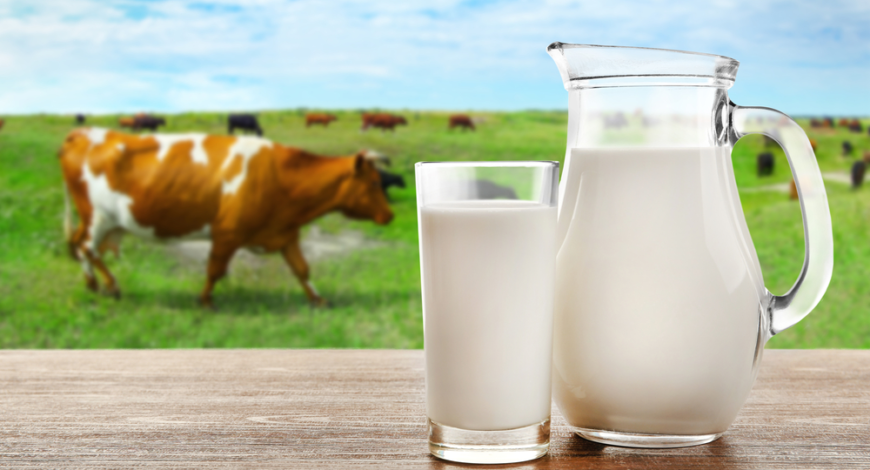 How Cow Milk Online Services Are Revolutionizing Dairy Delivery?