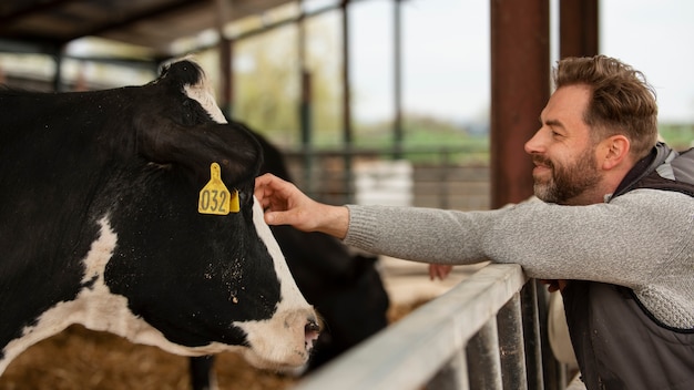 Electronic Ear Tags for Cattle: Revolutionizing Livestock Management