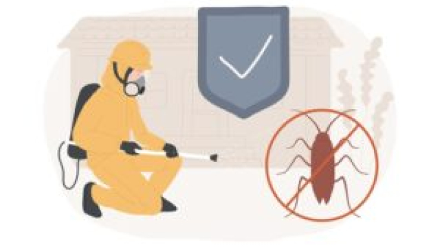 Defeating the Creepy Crawlers: Your Complete Guide to Cockroach Control