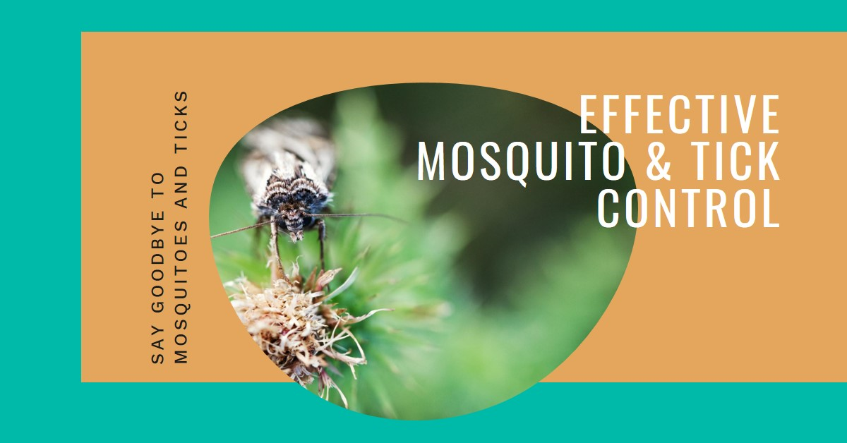 Mosquito and Tick Control Services in Barnstable