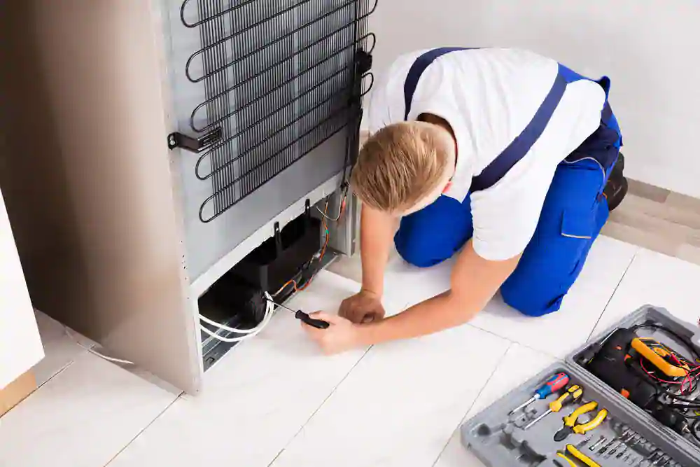 DIY vs. Professional Refrigerator Repair: When to Call in the Experts