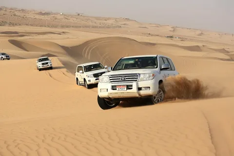 Unlocking the Mystique Morning Desert Safari Adventures in Dubai and Abu Dhabi