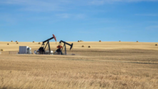 The Impact of Sell Mineral Rights on Your Business!